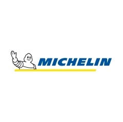 Michelini logo