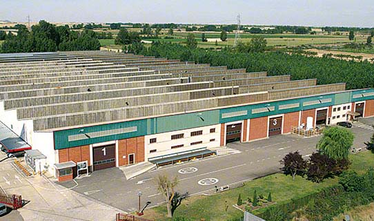 Palencia (Hispaania)