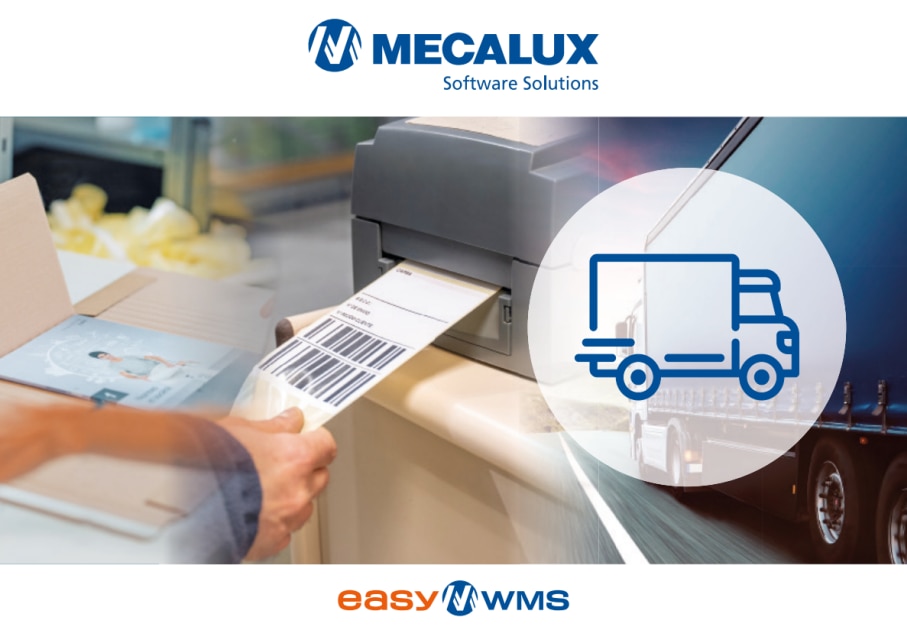 Mitme vedaja transpordi tarkvara