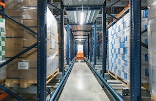 Transpordialustega Pallet Shuttle süsteemi puhul tegutsevad transpordialus ja süstik kõikidel laotasanditel