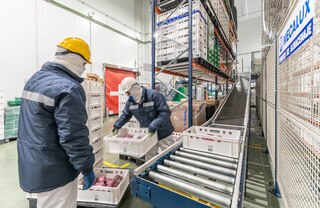 Konveierid töötavad ka positiivsete külmakraadidega ladudes (üle 0 °C)